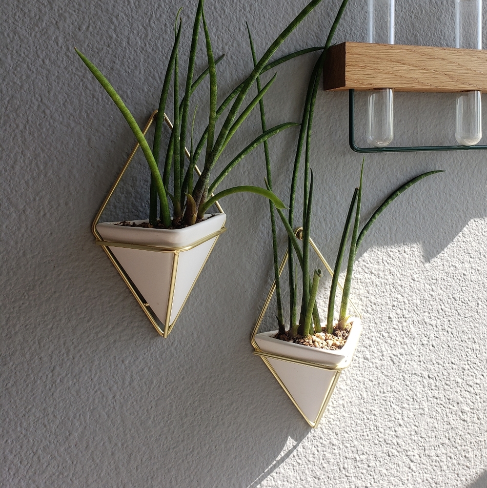 Umbra Small Wall Planter